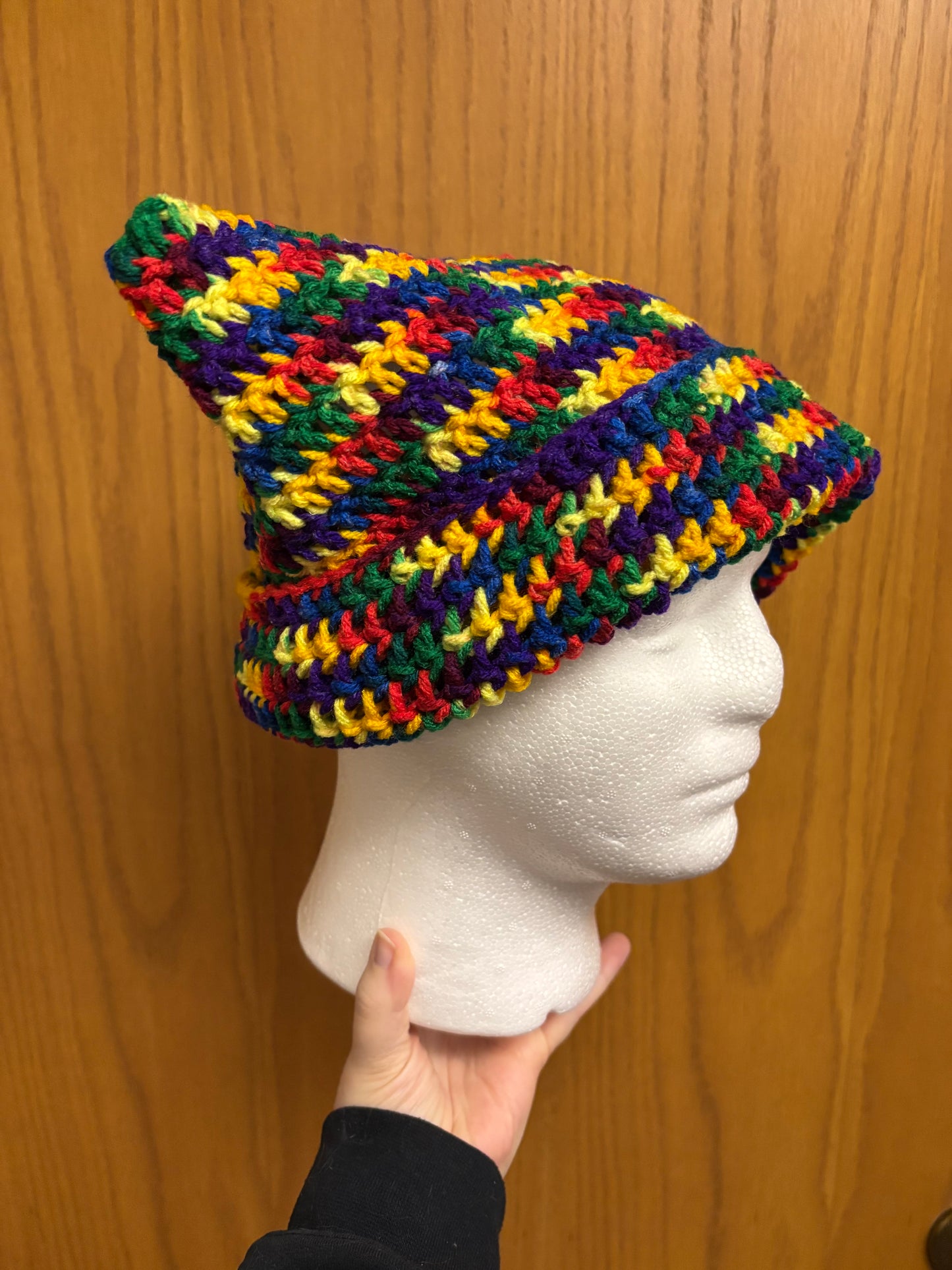 Rainbow Cat Ear Beanie